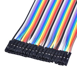 Dây bẹ 20cm (10 sợi)