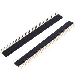 Rào cái vuông chân cong 1x40 2.54mm